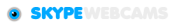 SkyPrivate logo